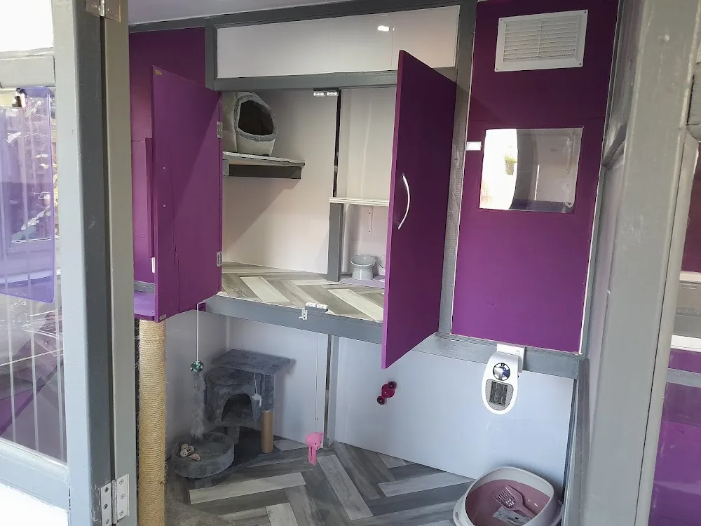 Paw Zone Cattery & Grooming Services - Walsall pet otel