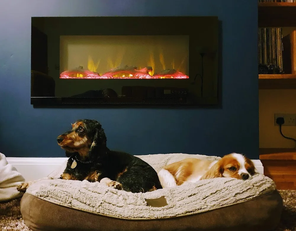 Pet-Minder.com - Walsall pet otel görseli 3