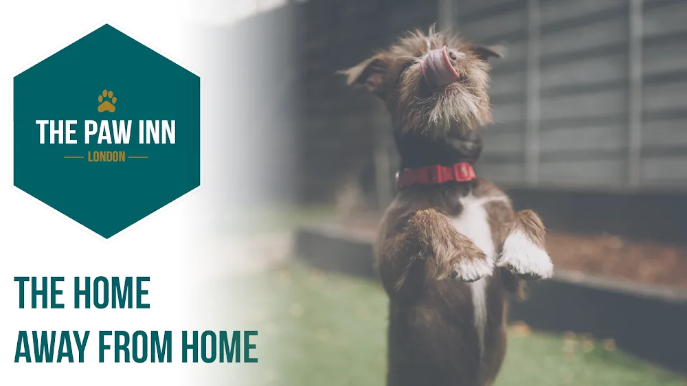 The Paw Inn - Waltham Forest pet otel