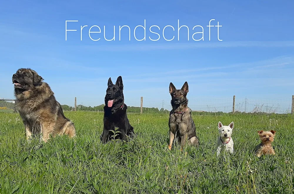 Deutscher Wach- und Schutzhund Service GmbH - Wandlitz pet otel görseli 2