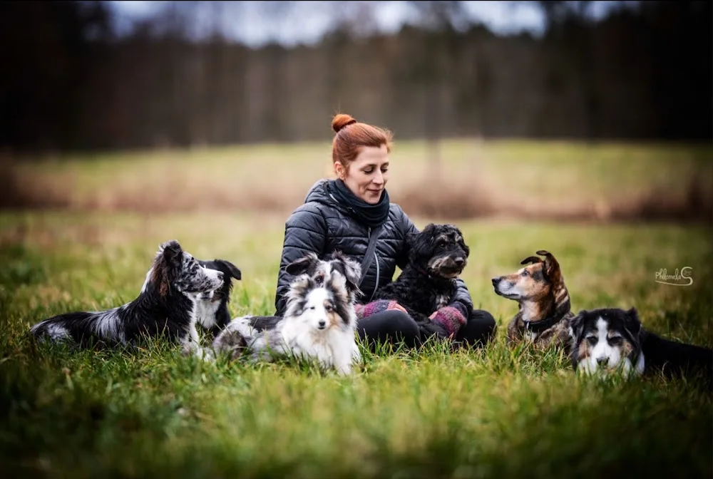 Hundetagesstätte & Hundetraining ‚La Wuff‘ - Wandlitz pet otel