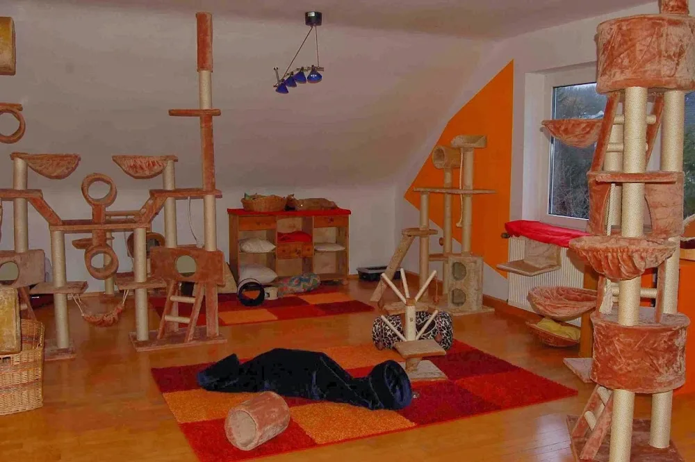 Steffi Ebert - Warburg pet otel görseli 2
