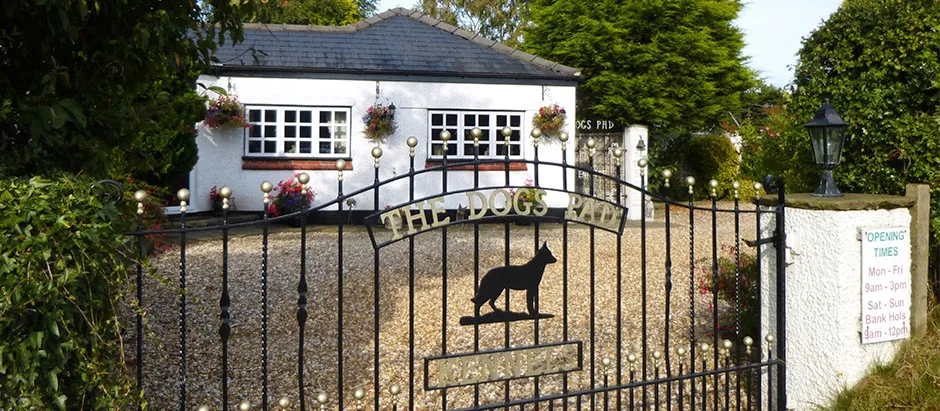 Dogs Pad - Warrington pet otel