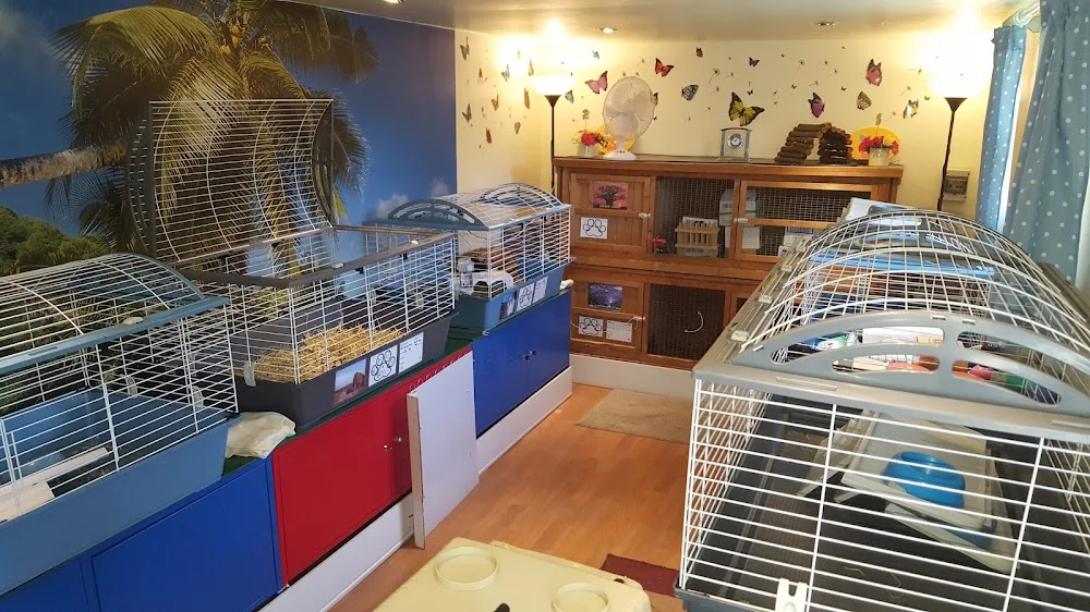 Pets ALL Inclusive - Warrington pet otel görseli 2