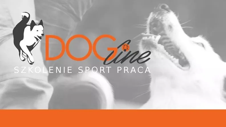 DOG Line.pl szkolenie psów, hotelik - Warsaw pet otel