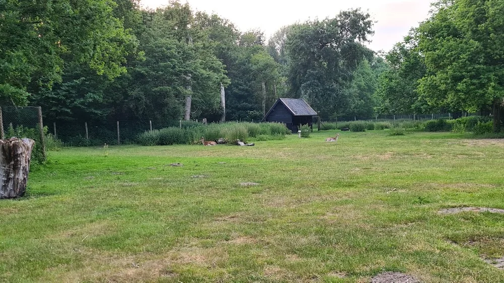 Chai Valley - Wassenaar pet otel görseli 3