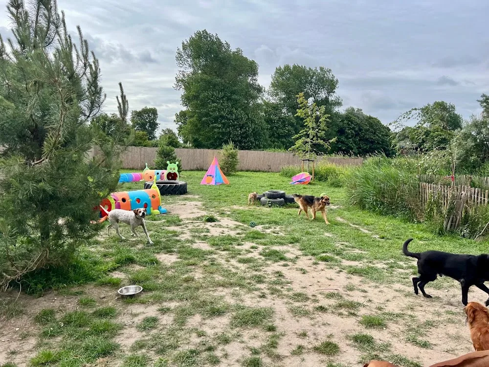 Hondendagopvang Lobbes Katwijk - Wassenaar pet otel