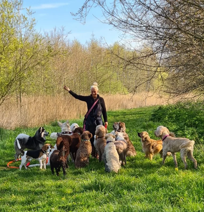 Toet's Dogs - Wassenaar pet otel