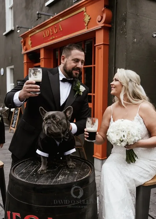 The Pup Club - Waterford pet otel