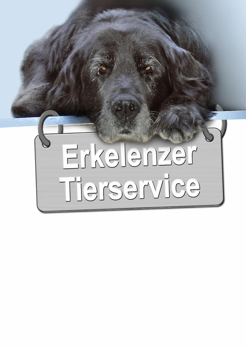 Erkelenzer Tierservice, Hunde- und Katzenbetreuung - Wegberg pet otel