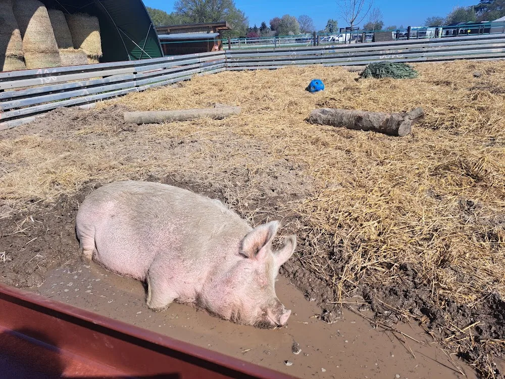 Tierschutzverein Die MonRo Ranch e.V. - Der Lebenshof - Wegberg pet otel