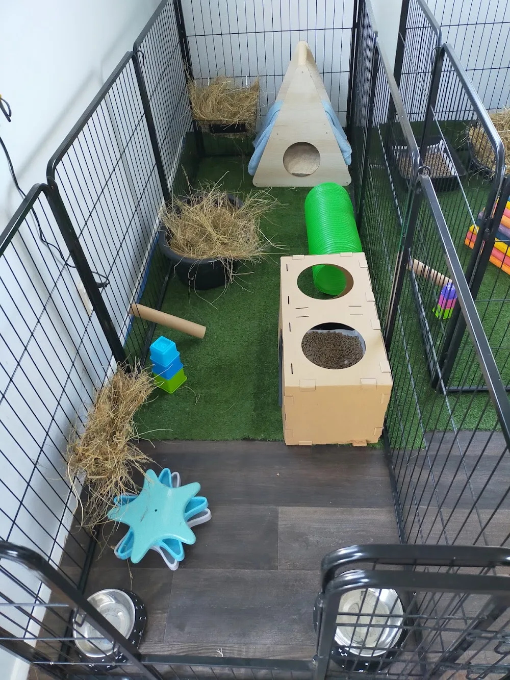 Elite Bunny Retreat - Wellington pet otel görseli 3