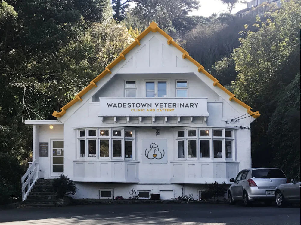 Wadestown Veterinary Clinic and Cattery - Wellington pet otel