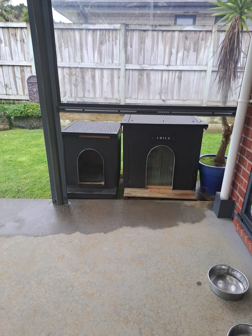 Cougar Kennels - West Coast pet otel görseli 3