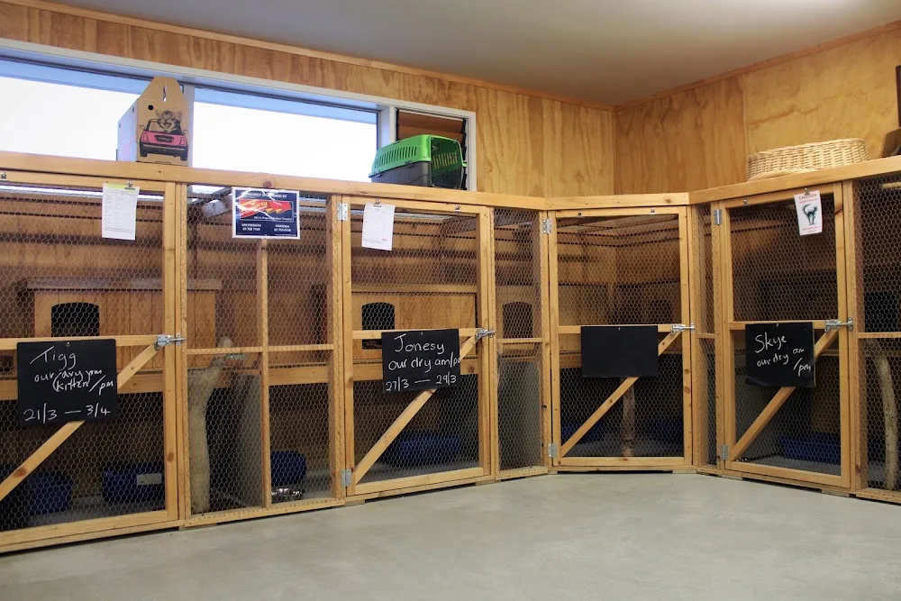 SPCA Boarding Cattery - Greymouth - West Coast pet otel görseli 3