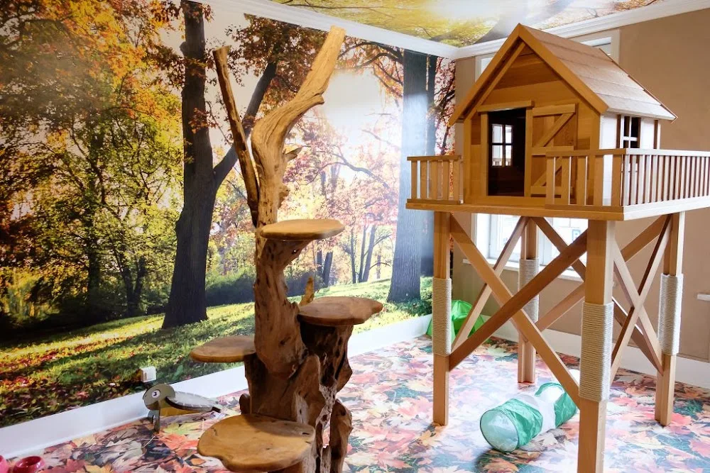 Bie De Kattenmadam - West Flanders pet otel