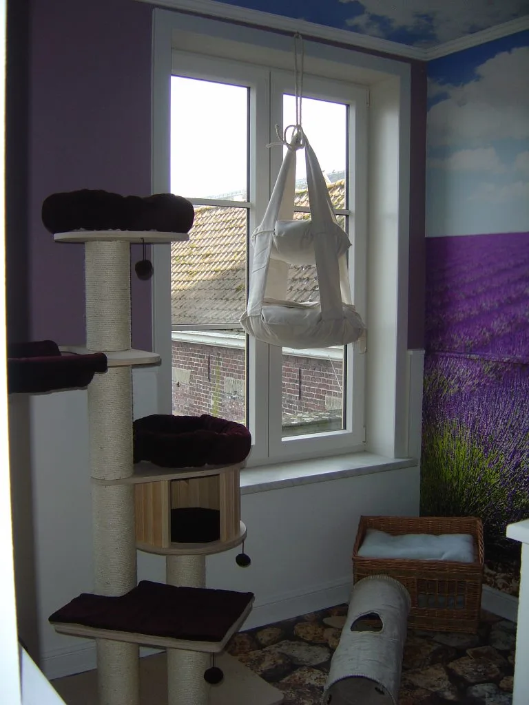 Bie De Kattenmadam - West Flanders pet otel görseli 3