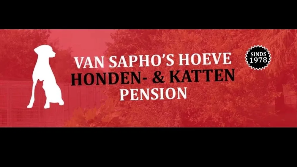 Honden-en Kattenpension Van Sapho's Hoeve - West Flanders pet otel