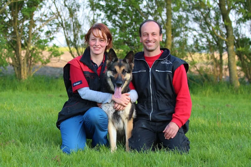 Honden-en Kattenpension Van Sapho's Hoeve - West Flanders pet otel görseli 3