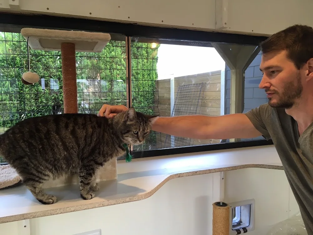 KATTENHOTEL - KAMPING KAT - West Flanders pet otel görseli 3