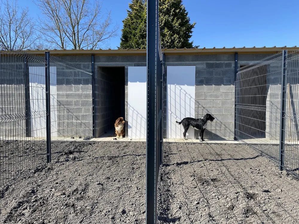 La pension de l’Oost Houck - West Flanders pet otel görseli 2