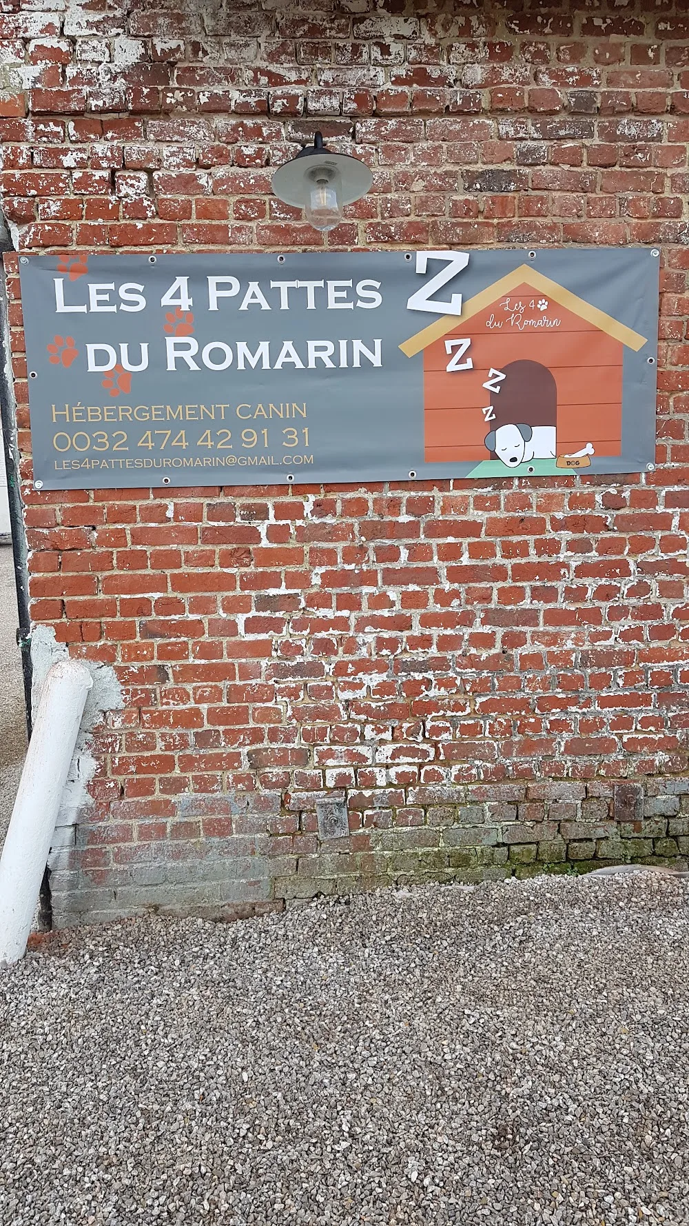 Les 4 pattes du romarin - West Flanders pet otel görseli 2