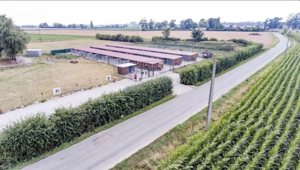 Pension du val de Cassel - West Flanders pet otel görseli 2