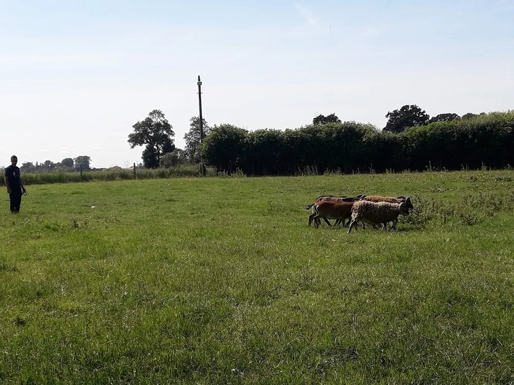 Pension du val de Cassel - West Flanders pet otel görseli 3