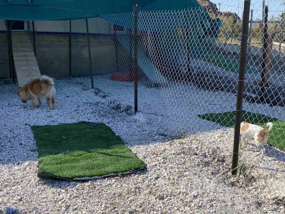 7stars Pet Hotel Larissa - West Greece pet otel