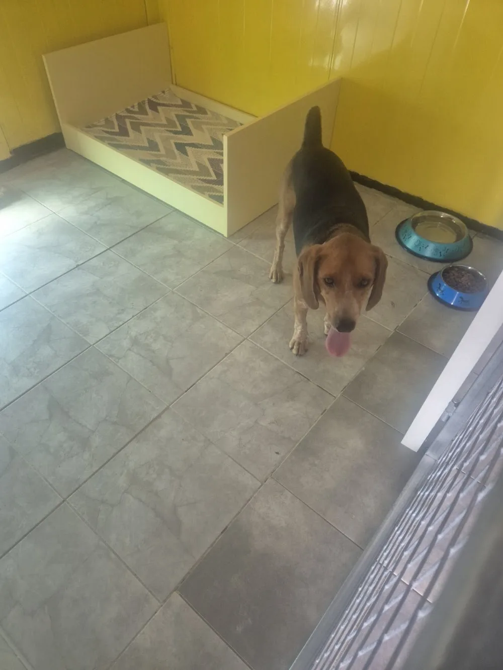 7stars Pet Hotel Larissa - West Greece pet otel görseli 3