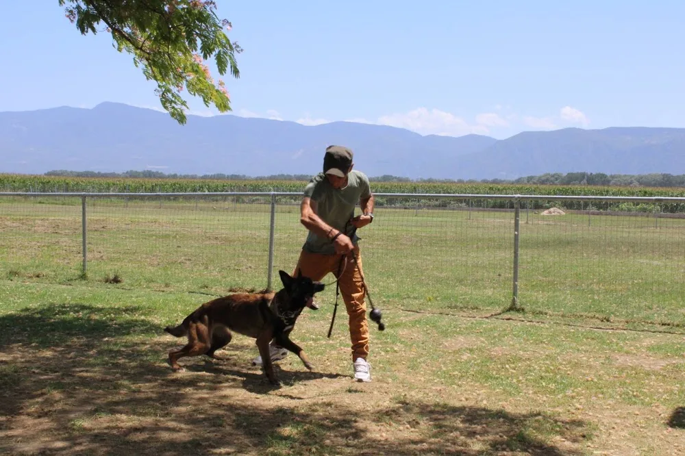 Kyneios Kennels - West Greece pet otel görseli 3