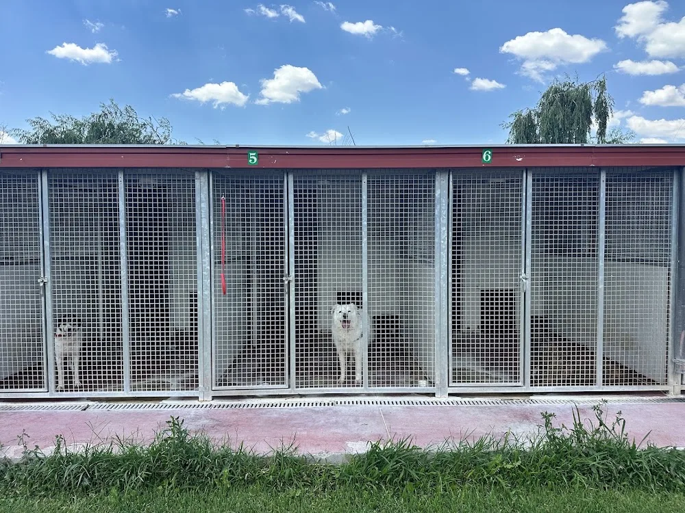 Pet Travel Ο.Ε. - Ξενοδοχείο Σκύλων & Μεταφορές Κατοικιδίων - West Greece pet otel