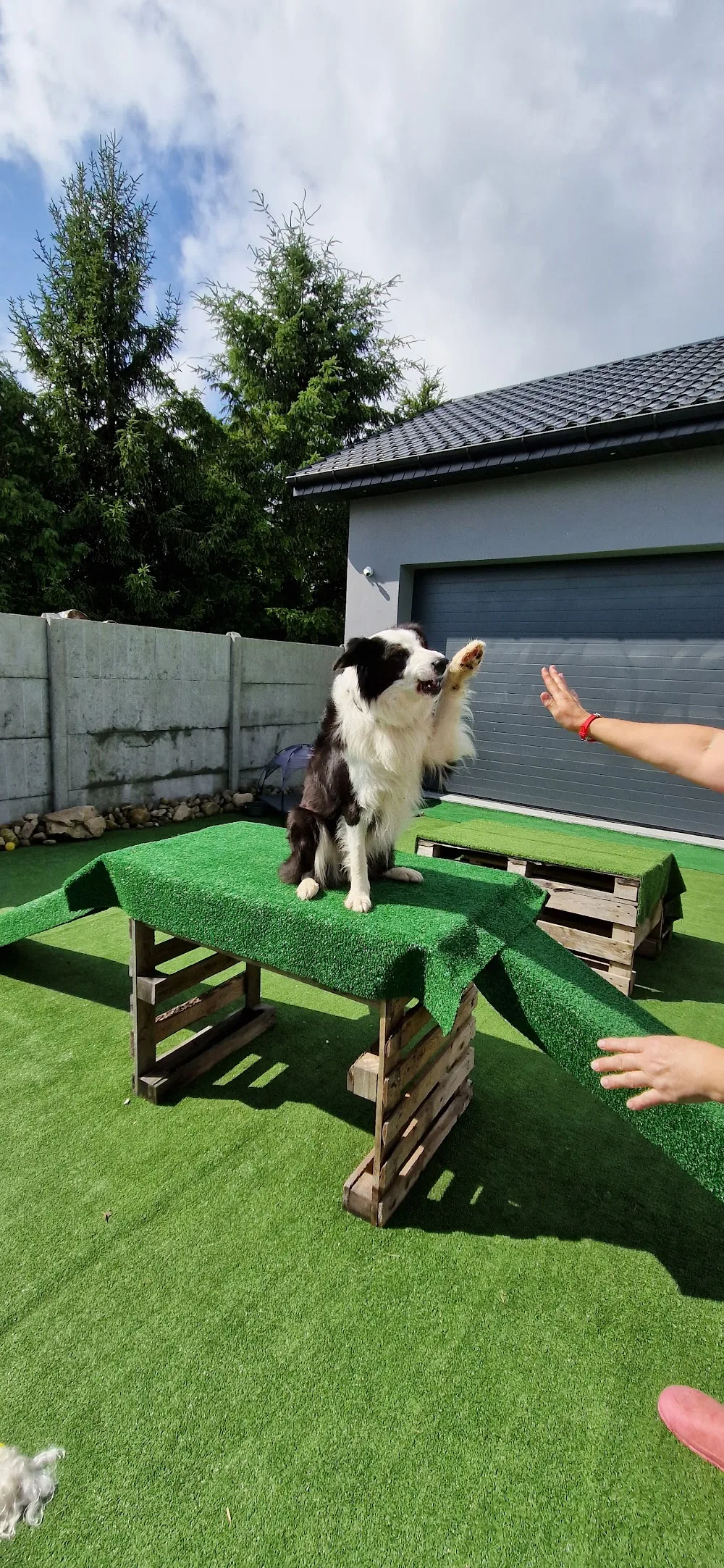 Domowy Hotel Dla Zwierząt GUCIO - West Pomerania pet otel görseli 3