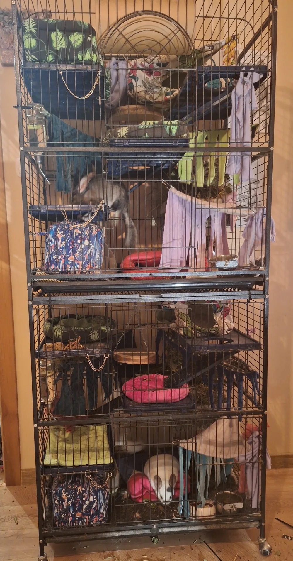 Hotel Dla Zwierząt "Jak w Domu" - West Pomerania pet otel görseli 3