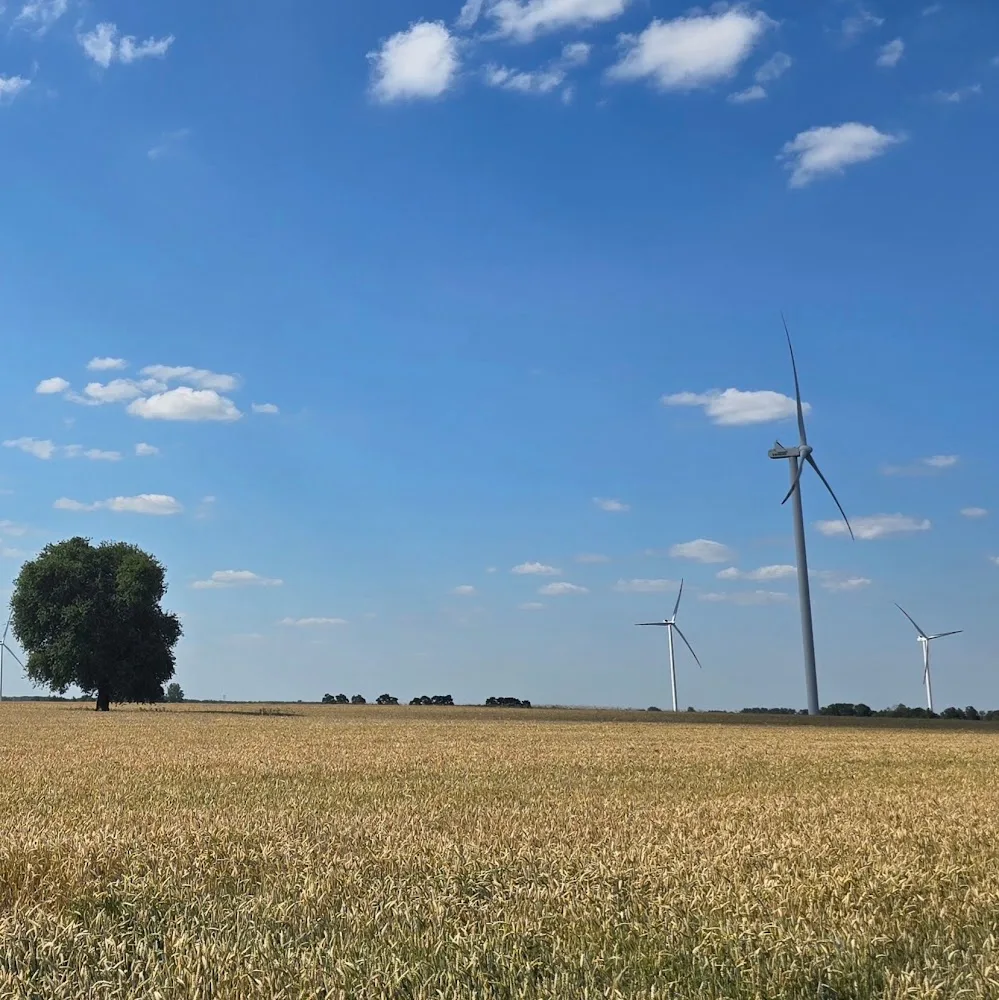 KA Psy na Wakacjach - domowy hotel dla psow - West Pomerania pet otel görseli 5
