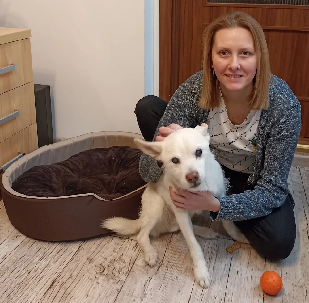 PSI DOgMEK - domowy hotel dla psów - West Pomerania pet otel görseli 2