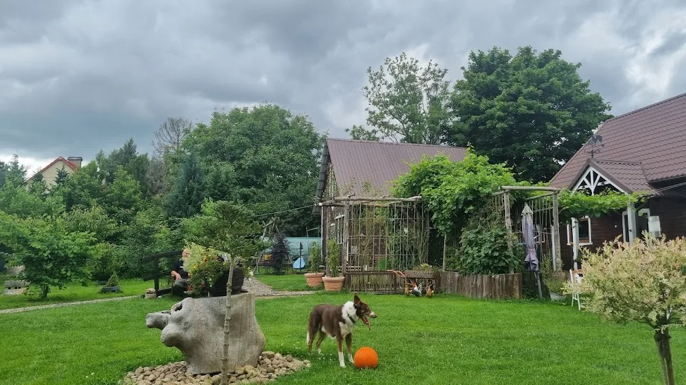 Psie Atelier - Hotel dla zwierząt - West Pomerania pet otel görseli 2