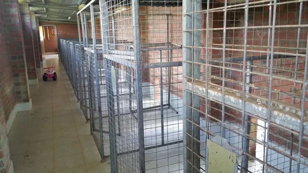 All Seasons Boarding Kennels - Western Australia pet otel görseli 2