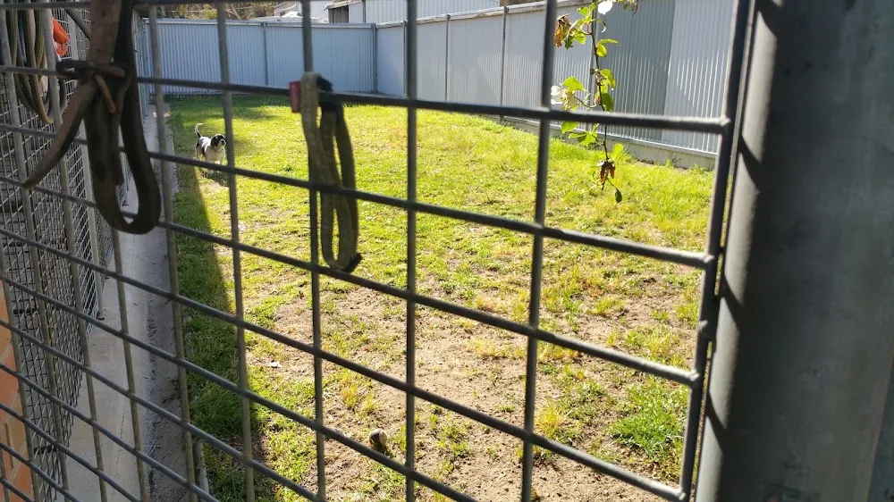 All Seasons Boarding Kennels - Western Australia pet otel görseli 3