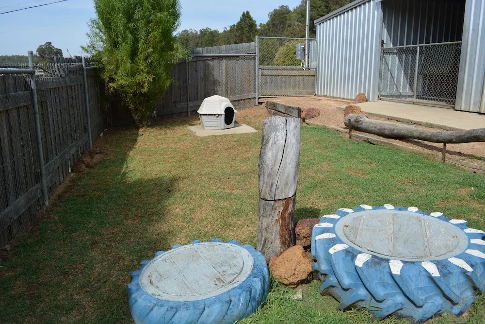 Down South Boarding Kennels - Western Australia pet otel görseli 3