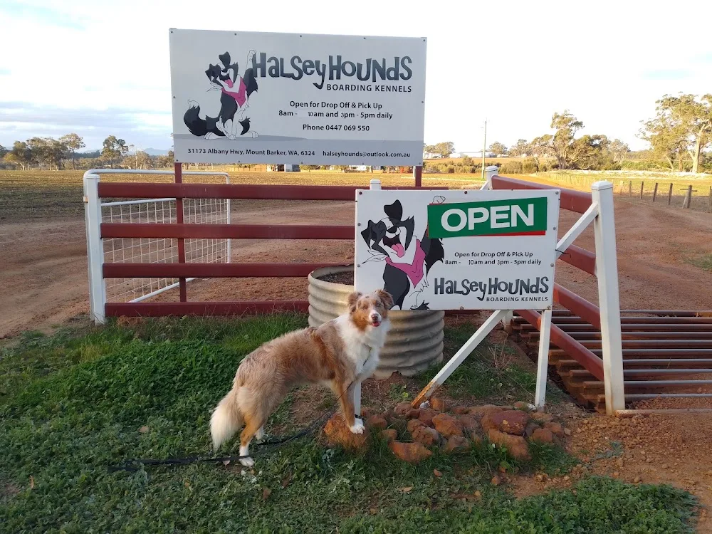 Halsey Hounds Boarding Kennels - Western Australia pet otel görseli 3