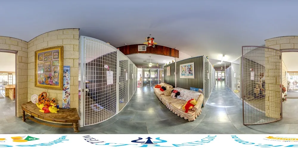 Happy Cats Cattery - Western Australia pet otel görseli 3