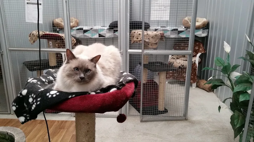 Karnup Boarding Cattery - Western Australia pet otel görseli 2