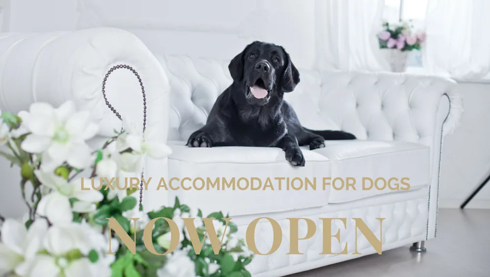 Khatala Pet Lodge - Western Australia pet otel görseli 2