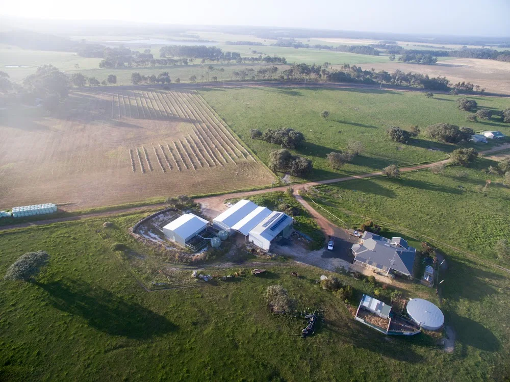 Leeuwin Kennels - Western Australia pet otel