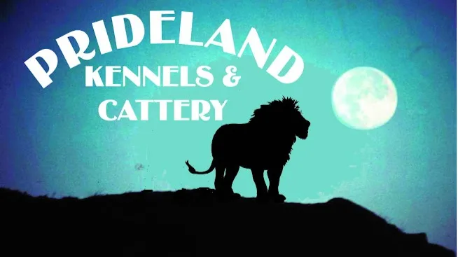Prideland Kennels & Cattery - Western Australia pet otel