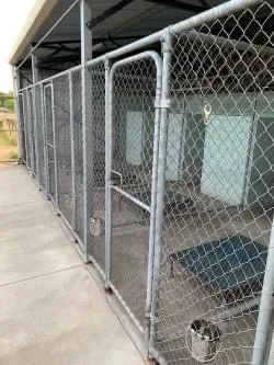 Sniff Scratch Snooze kennels - Western Australia pet otel görseli 2
