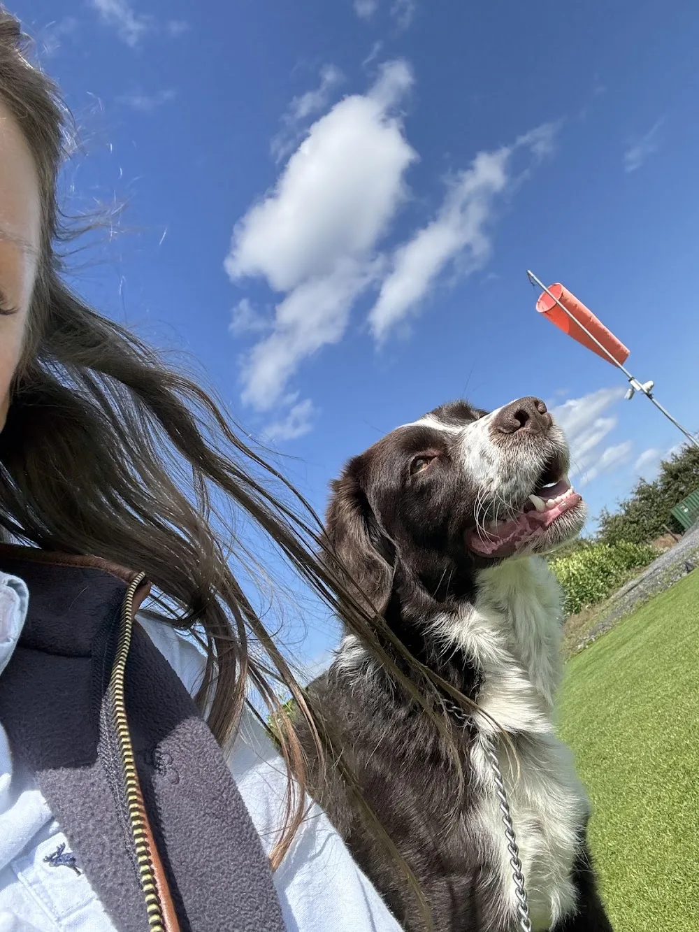 Fetch & Stay Daycare & Boarding - Westmeath pet otel