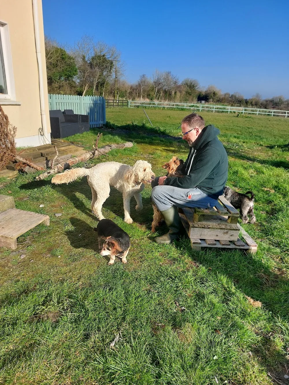Dog's Village House - Wexford pet otel görseli 3