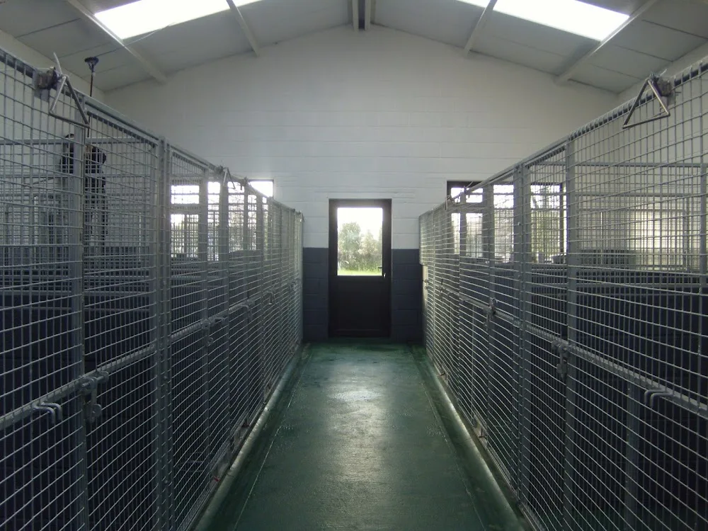 Waggly Tails Dog Grooming and Boarding Kennels - Wexford pet otel görseli 2